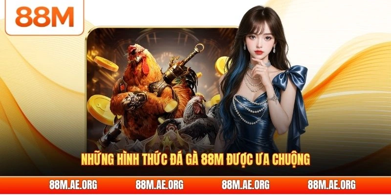 Những hình thức đá gà 88M được ưa chuộng