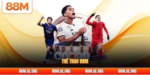Thể thao 88M