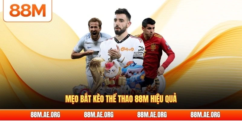 Mẹo bắt kèo thể thao 88M hiệu quả